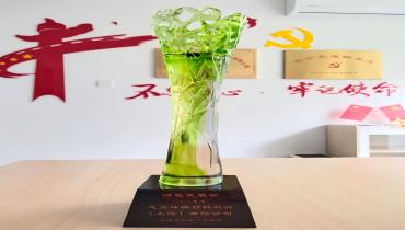 上海尊龙抖圈官网荣获“绿色工厂”称号